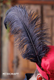 Ostrich Feather 45-50cm Black