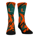 Miami Hurricanes - Game Paint