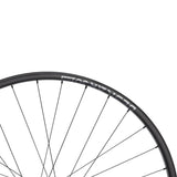 NEWMEN - Wheel (Front) - Beskar 30 DH | Downhill - [D]