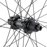 NEWMEN - Wheel (Rear) - Beskar 30 Base | Trail - [D]