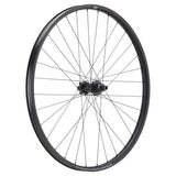 NEWMEN - Wheel (Rear) - Beskar 30 DH | Downhill - [D]