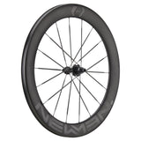 NEWMEN - Wheel (Rear) - STREEM Sprint VONOA | Road - [D]