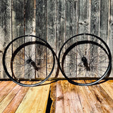 NEWMEN - Wheel (Rear) - Forge 30 Light | Cross Country - [D]