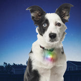 2023 Nite Ize Spotlit Collar Light, Disc-O, Map: $7.64