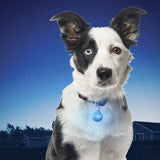 2023 Nite Ize Spotlit Collar Light, Blue Plastic, Map: $7.64