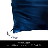 PURE SOL. Beauty Sleep Happy 100% Mulberry Silk Pillow Case - Silver