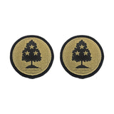 Army Tennessee National Guard OCP Patch with Hook Fastener (pair)
