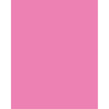 Neon Coated Poster Board, Neon Pink, 22 x 28, 25 Sheets