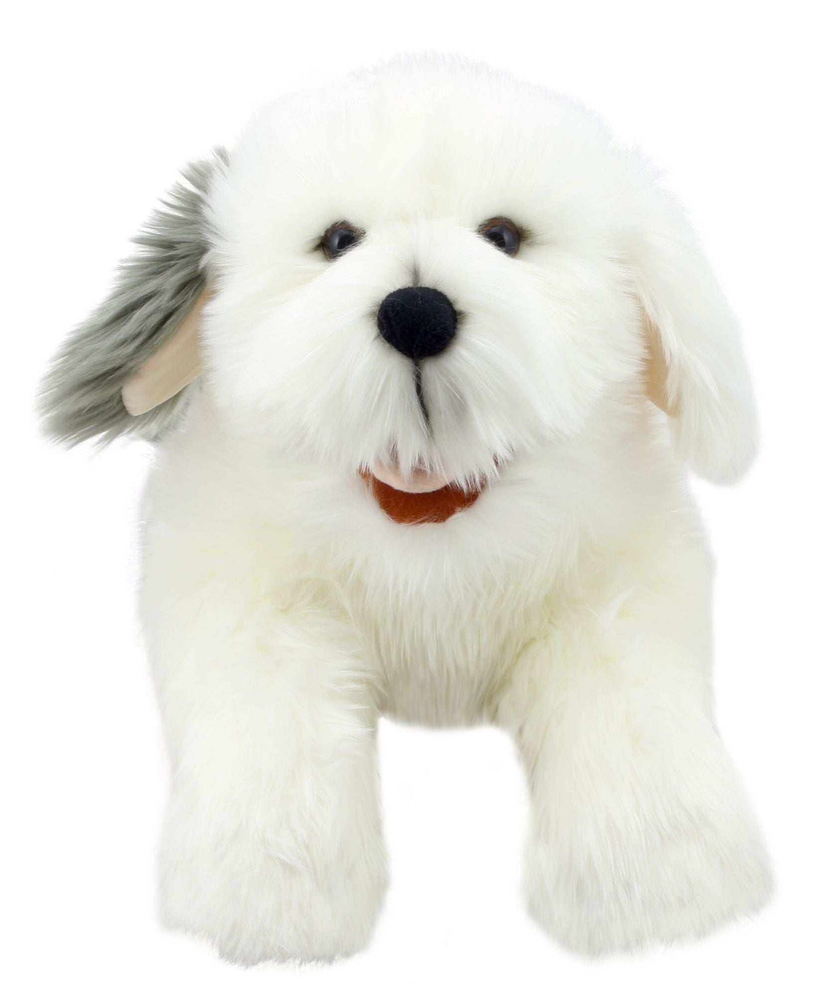 Playful Puppies: Old English Sheepdog