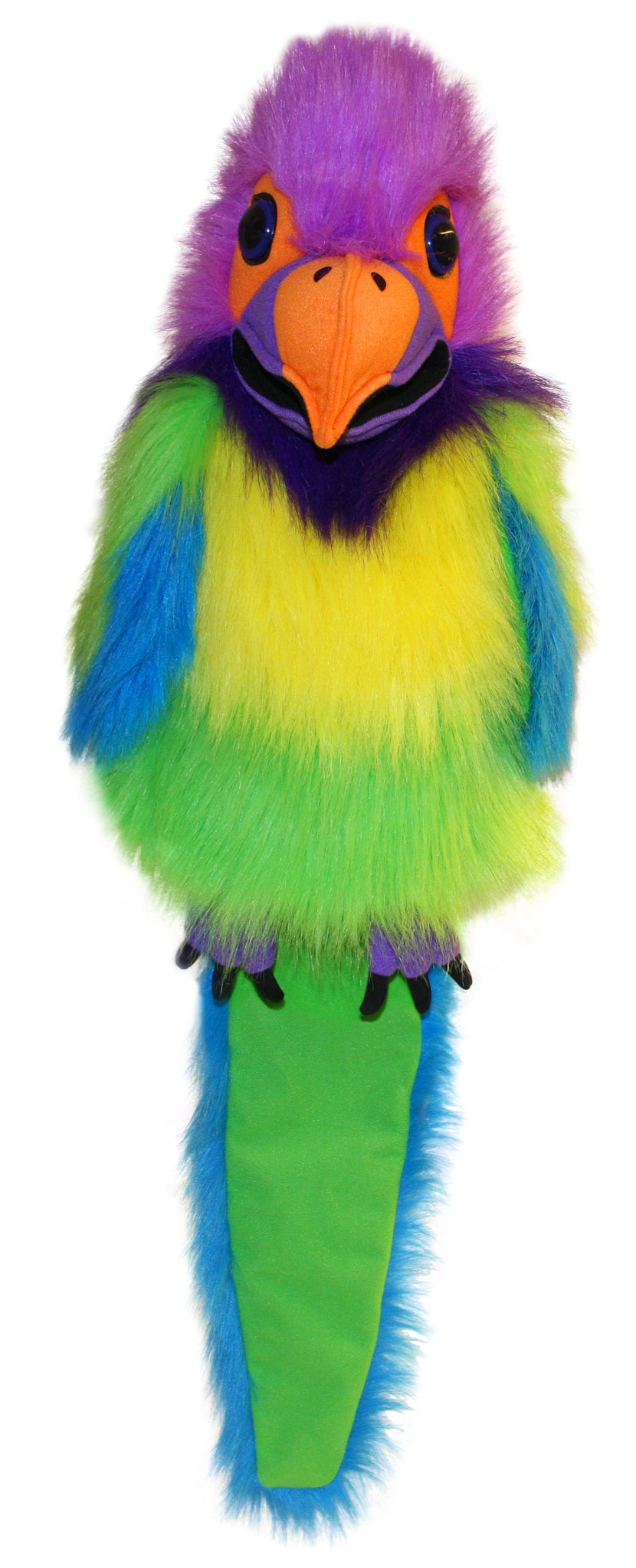 Large Birds: Plum-Headed Parakeet