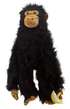 Primates: Chimp (Large)