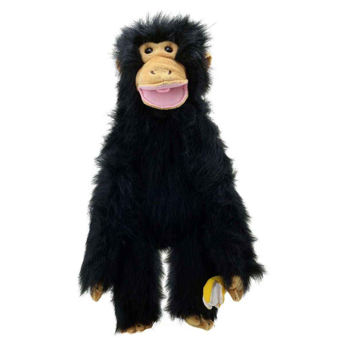 Primates: Chimp (Medium)