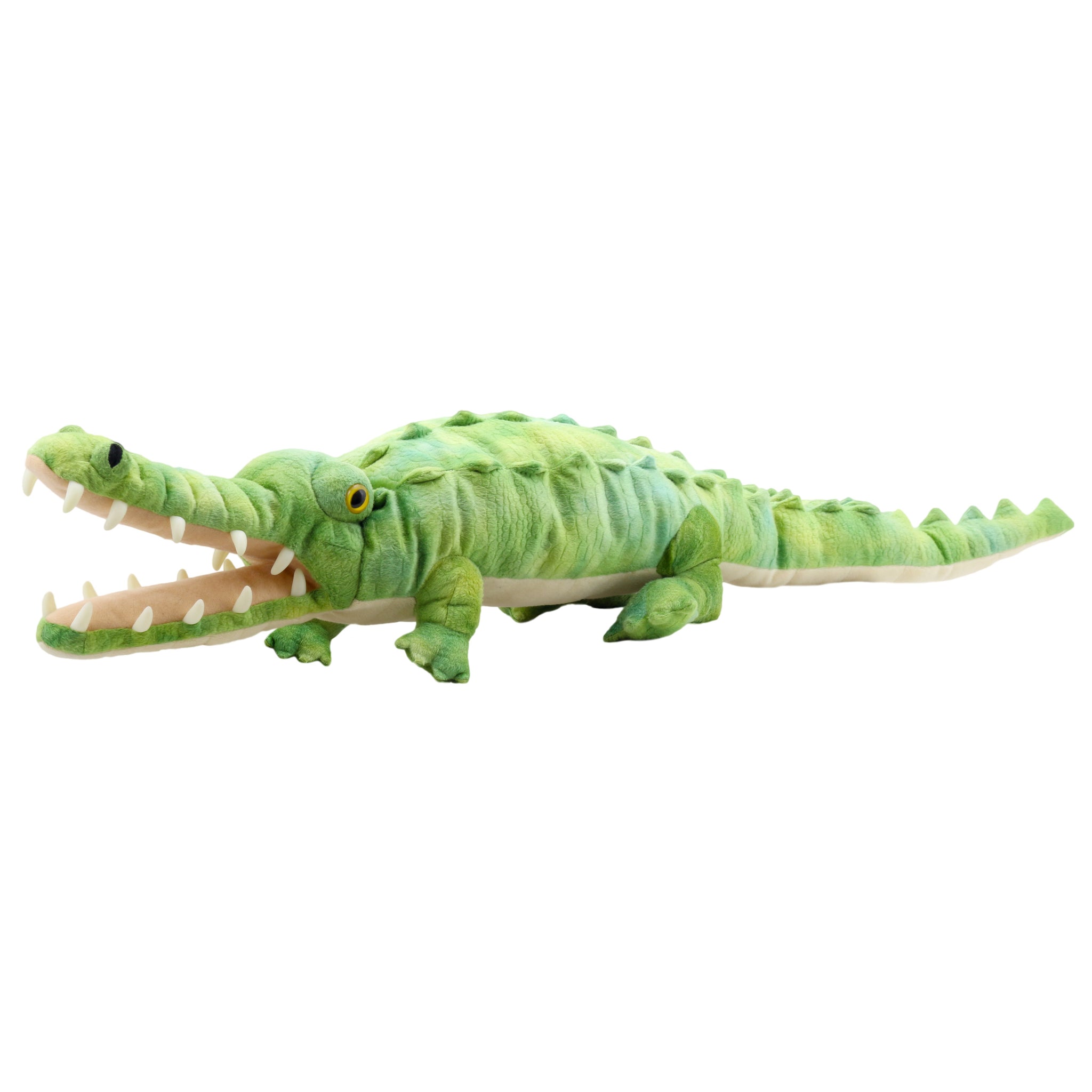 Large Creatures: Crocodile