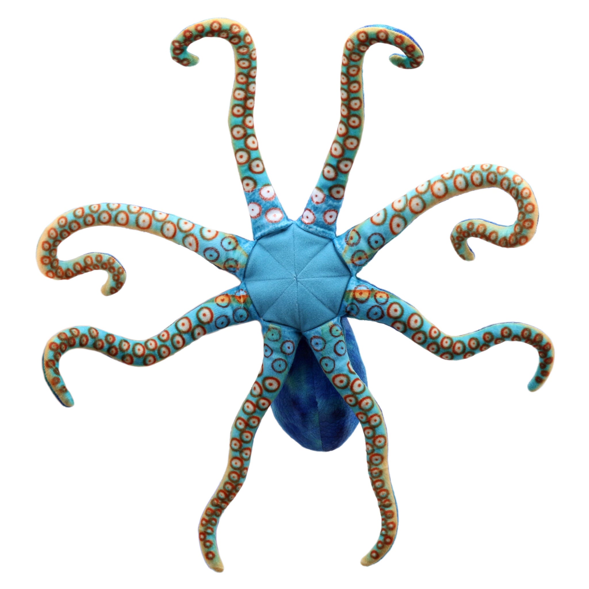 Large Creatures: Octopus