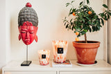 Baobab Collection Coral Pearls Candle