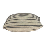 Parkland Collection Tanzi Transitional Tan Pillow Cover With Poly Insert