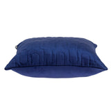 Parkland Collection Basil Transitional Blue Throw Pillow