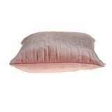 Parkland Collection Basil Transitional Pink Throw Pillow