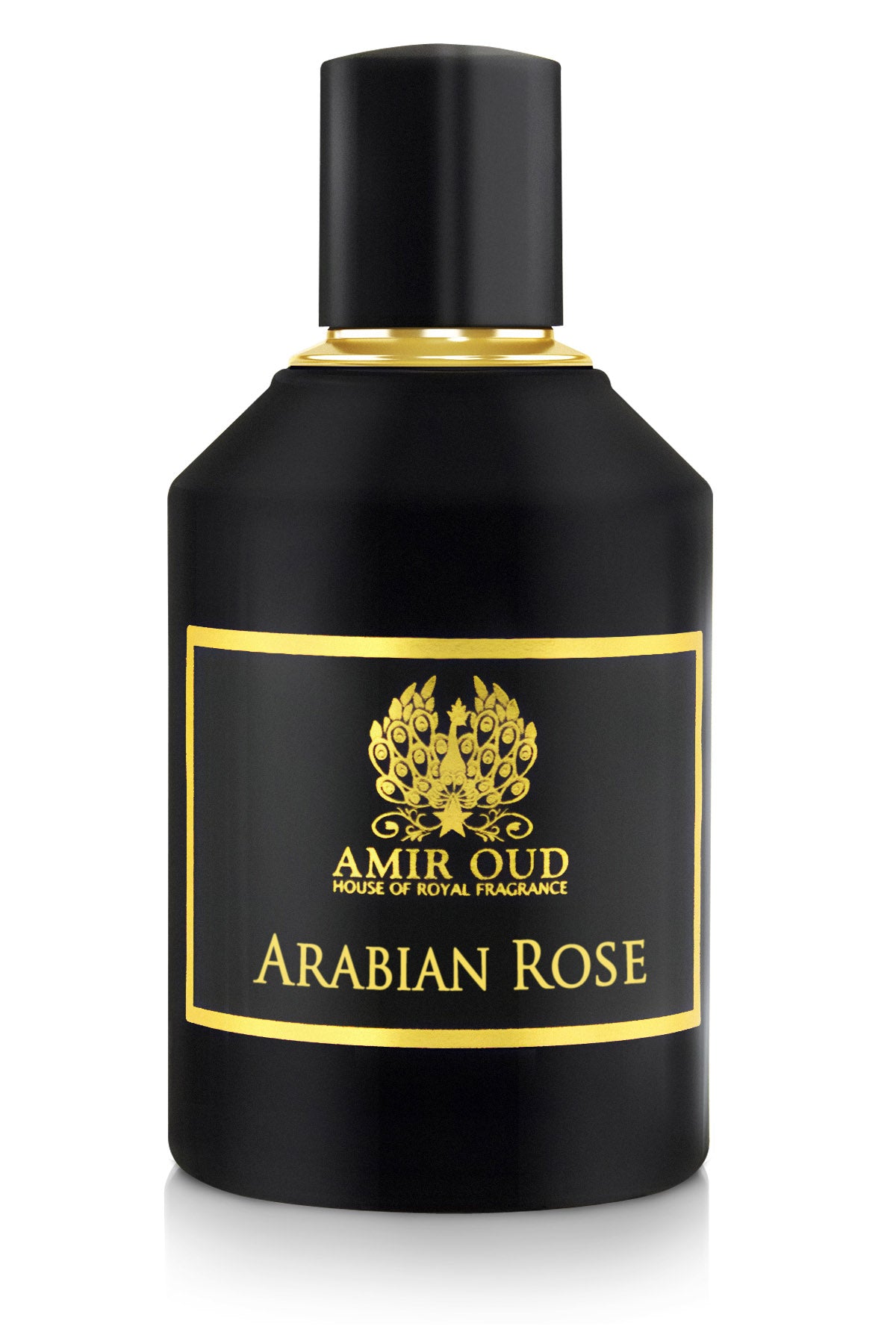 Arabian Rose