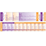 French Verb Conjugation Tool