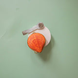 Leaves & Wood Solid Perfume Balm + Mother of Pearl Spoon