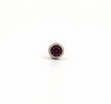 Studex Earrings - R202W : February