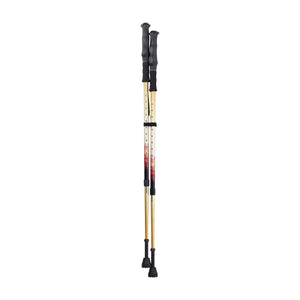 Summit Walking Poles