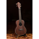Timber Series All Solid Concert Ukulele With Bag