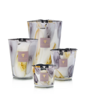 Baobab Collection EilenRoc Candle