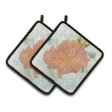 Caroline'S Treasures Coral Pink Pair Of Pot Holders Sb3023Pthd, 7.5Hx7.5W, Multicolor