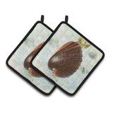 Caroline'S Treasures Shells Pair Of Pot Holders Sb3032Pthd, 7.5Hx7.5W, Multicolor