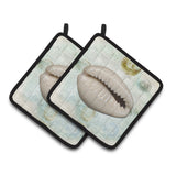 Caroline'S Treasures Shells Pair Of Pot Holders Sb3038Pthd, 7.5Hx7.5W, Multicolor