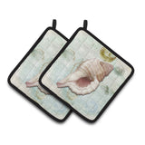 Caroline'S Treasures Shells Pair Of Pot Holders Sb3041Pthd, 7.5Hx7.5W, Multicolor
