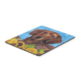 Caroline'S Treasures Mouse/Hot Pad/Trivet, Dachshund (Sc9072Mp)