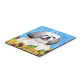Caroline'S Treasures Mouse/Hot Pad/Trivet, Shih Tzu (Sc9075Mp)