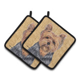 Caroline'S Treasures Yorkie Pair Of Pot Holders Sc9123Pthd, 7.5Hx7.5W, Multicolor