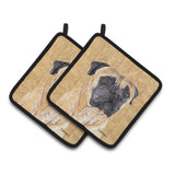 Caroline'S Treasures Sc9125Pthd Mastiff Wipe Your Paws Pot Holders (1 Pair), 7.5 X 7.5, Multicolor