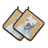 Caroline'S Treasures Pit Bull Wipe Your Paws Pair Of Pot Holders Sc9130Pthd, 7.5Hx7.5W, Multicolor