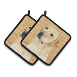 Caroline'S Treasures Labrador Wipe Your Paws Pair Of Pot Holders Sc9133Pthd, 7.5Hx7.5W, Multicolor