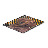 Caroline'S Treasures Mouse/Hot Pad/Trivet, Dachshund Candy Corn Halloween Portrait (Sc9178Mp)
