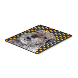 Caroline'S Treasures Border Terrier Halloween Candy Corn Mouse Pad/Hot Pad/Trivet (Sc9529Mp)