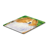 Caroline'S Treasures Mouse/Hot Pad/Trivet, Sheltie (Ss1003Mp)