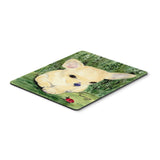 Caroline'S Treasures Mouse/Hot Pad/Trivet, Chihuahua (Ss1010Mp)