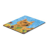 Caroline'S Treasures Mouse/Hot Pad/Trivet, Norwich Terrier (Ss4132Mp)