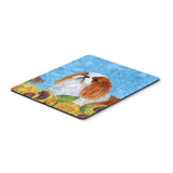 Caroline'S Treasures Mouse/Hot Pad/Trivet, English Toy Spaniel (Ss4140Mp)