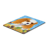 Caroline'S Treasures Mouse/Hot Pad/Trivet, Cavalier Spaniel (Ss4161Mp)