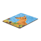Caroline'S Treasures Mouse/Hot Pad/Trivet, Min Pin (Ss4235Mp)