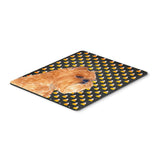 Caroline'S Treasures Mouse/Hot Pad/Trivet, Brussels Griffon Candy Corn Halloween Portrait (Ss4287Mp)