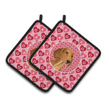 Caroline'S Treasures Dachshund Hearts Love & Valentine'S Day Portrait Pair Of Pot Holders Ss4487Pthd, 7.5Hx7.5W, Multicolor