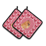 Caroline'S Treasures Brussels Griffon Hearts Love & Valentine'S Day Portrait Pair Of Pot Holders Ss4494Pthd, 7.5Hx7.5W, Multic
